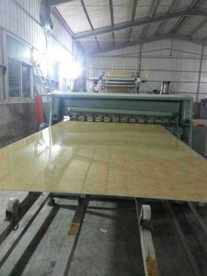 Un buen precio. Línea de la protuberancia del panel de pared del mármol de WPC, cadena de producción plástica del panel del mármol del PVC en línea